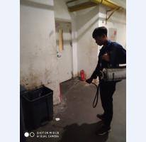 消杀案例展示 (6)