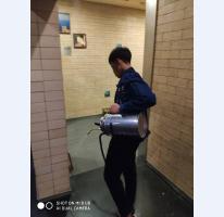 消杀案例展示 (7)
