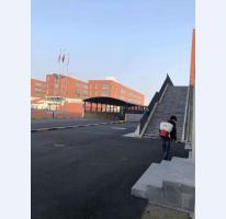 学校消杀案例 (1)