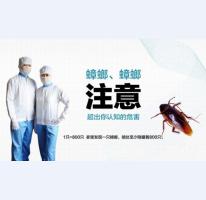 综合虫害管理